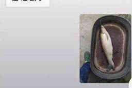 鹤壁讨债公司排名前十名：专业高效，助您无忧追债