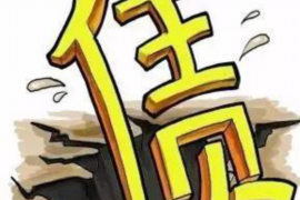 现金借款恶意催收：揭秘非法手段，维护自身权益