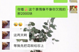 讨债者破坏债务人:探讨债权债务关系中的法律边界 讨债者破坏债务人:探讨债权债务关系中的法律边界