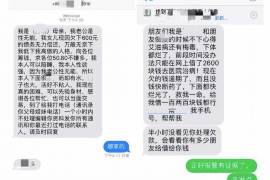 金融办投诉催收：如何有效应对不良催收行为