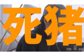 阿拉尔讨账公司排名：揭秘行业翘楚，助力企业高效追收欠款
