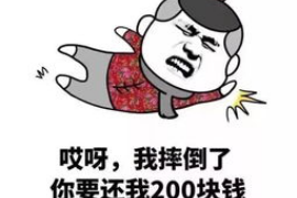 金阳清债公司哪家好？揭秘优质清债机构的选择标准