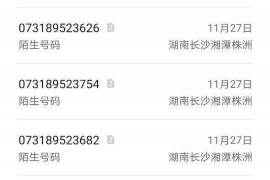 催收电话app——智能债务管理新利器