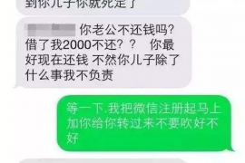 讨债人辱母案:儿子为母亲杀人,法律与人性的冲突 讨债人辱母案:儿子为母亲杀人,法律与人性的冲突